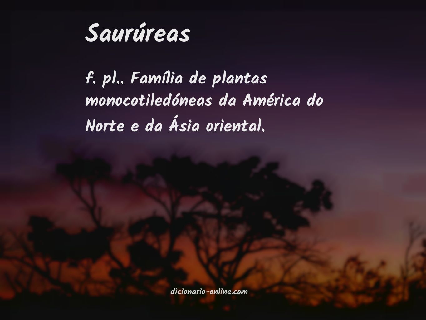 Significado de saurúreas