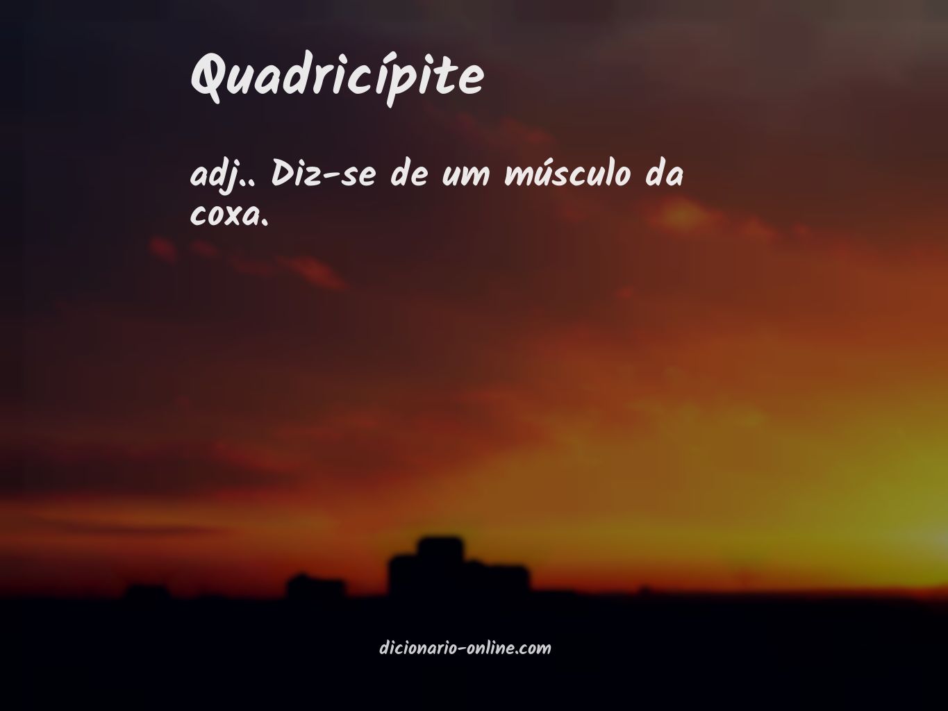 Significado de quadricípite