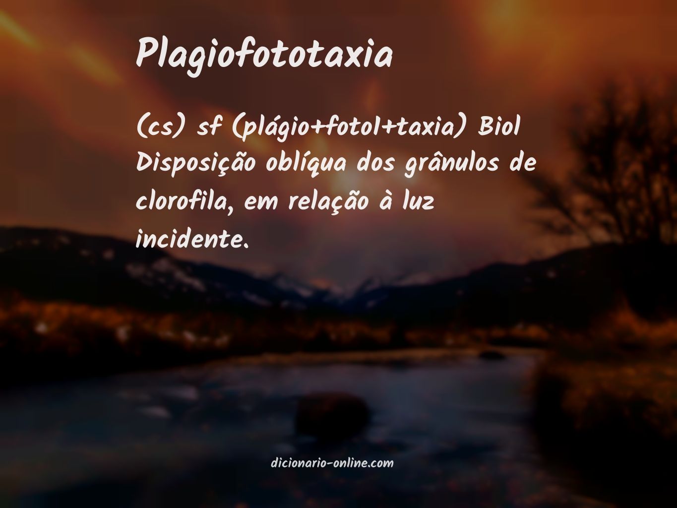 Significado de plagiofototaxia