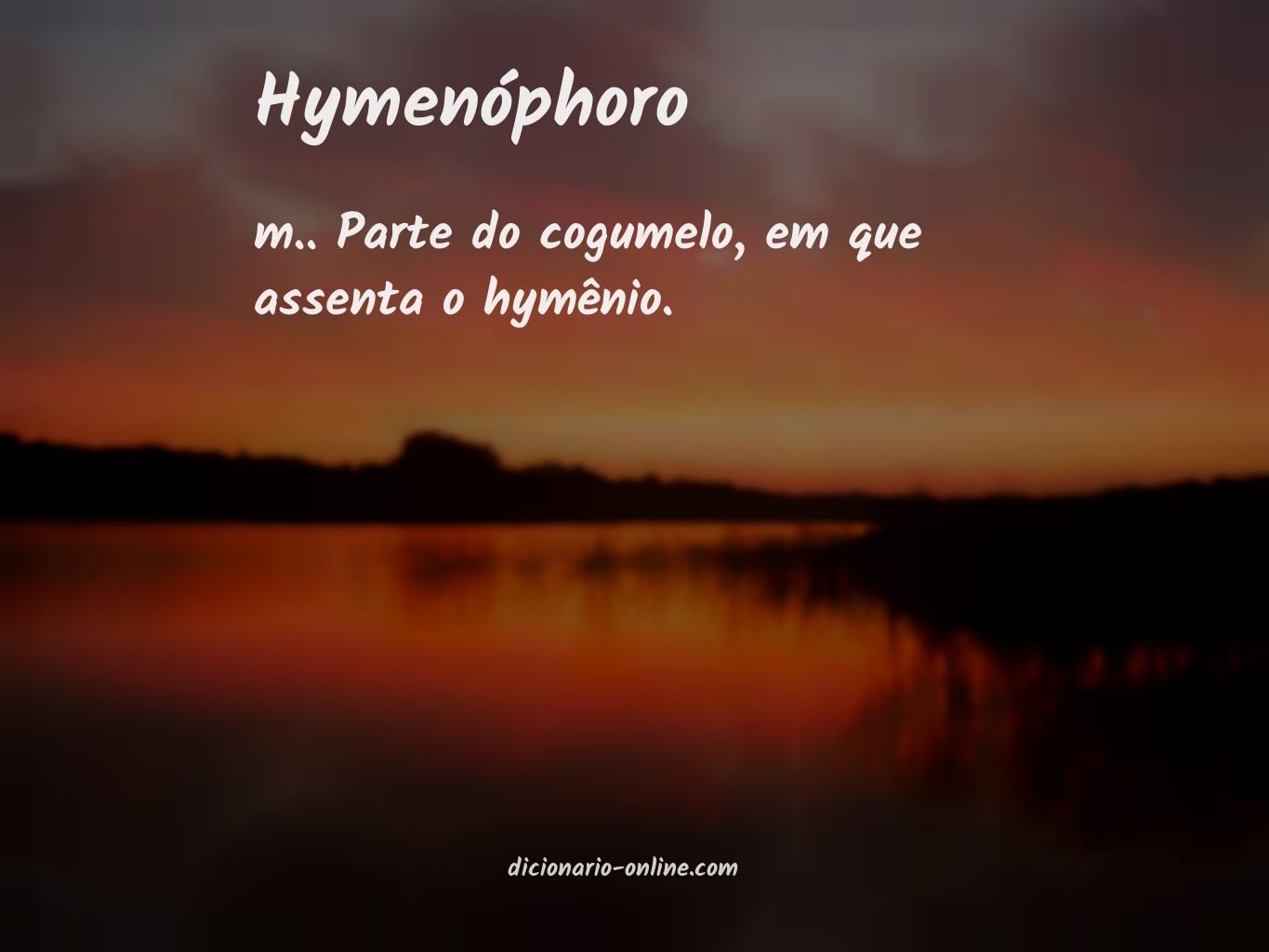 Significado de hymenóphoro