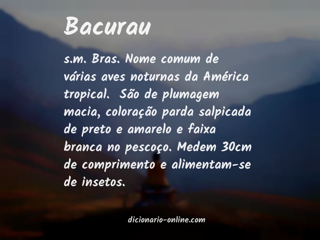 Significado de bacurau