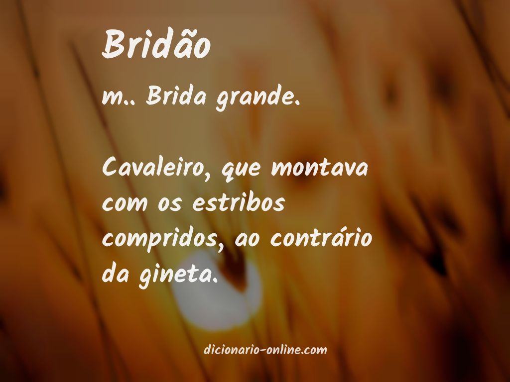 Significado de bridão