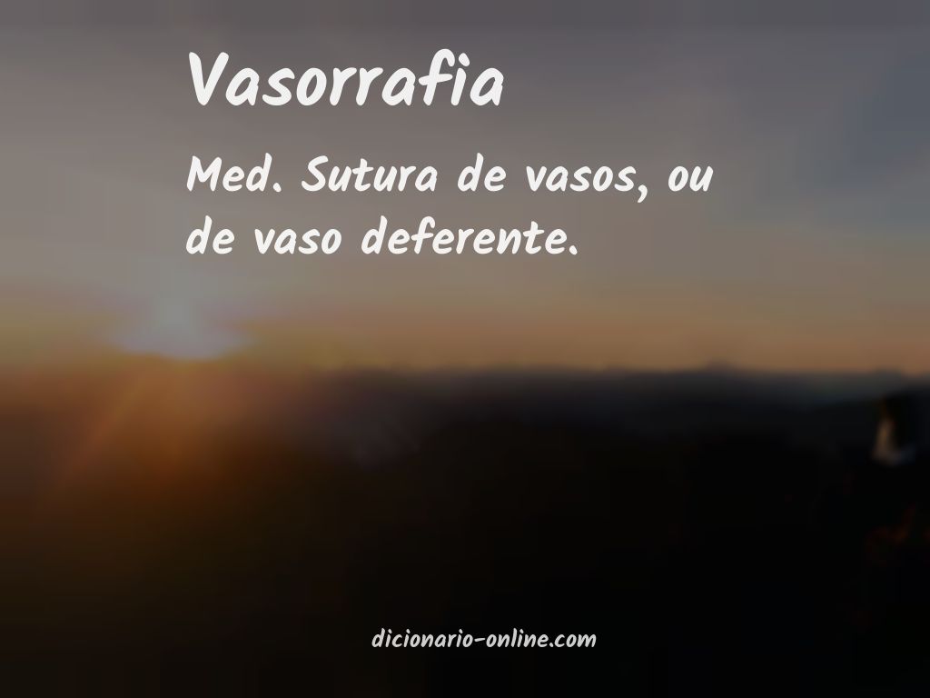 Significado de vasorrafia