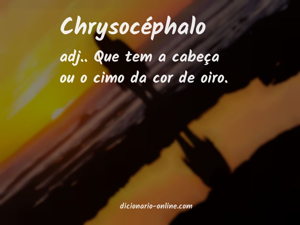 Significado de chrysocéphalo