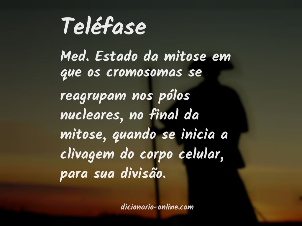 Significado de teléfase