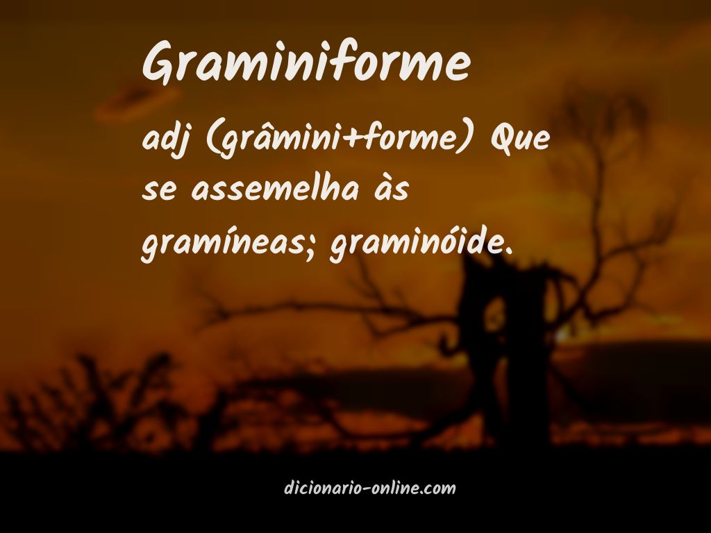 Significado de graminiforme