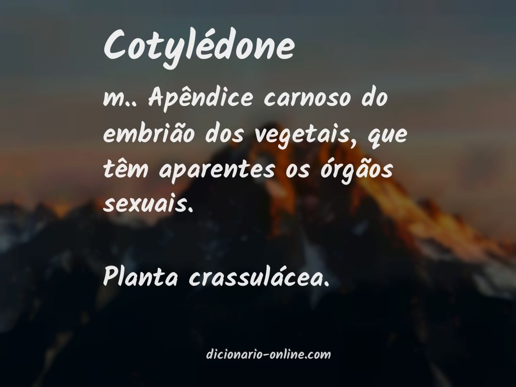 Significado de cotylédone