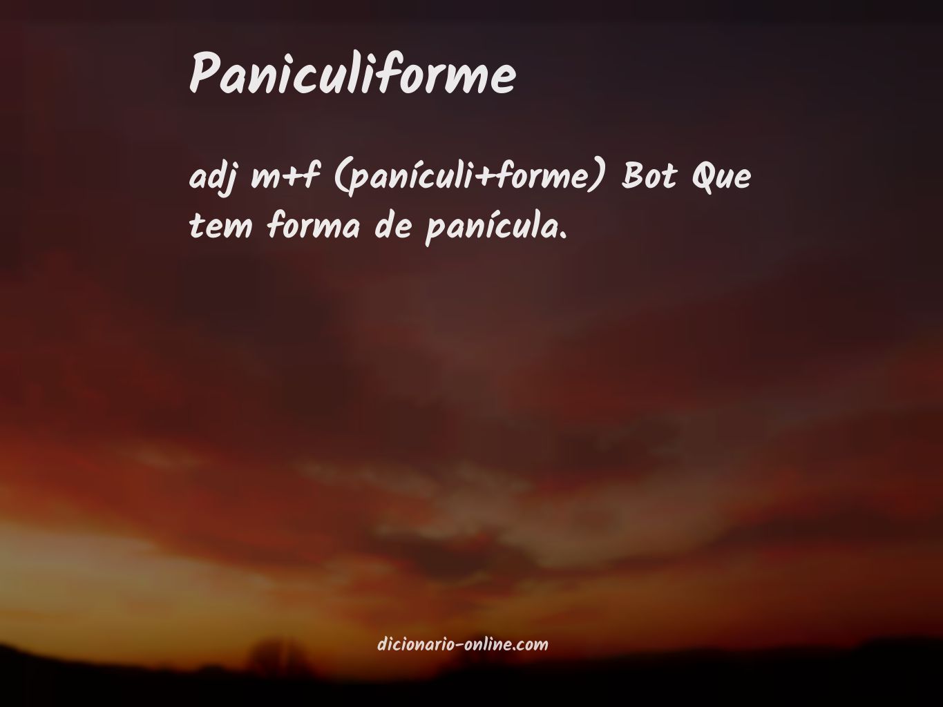 Significado de paniculiforme