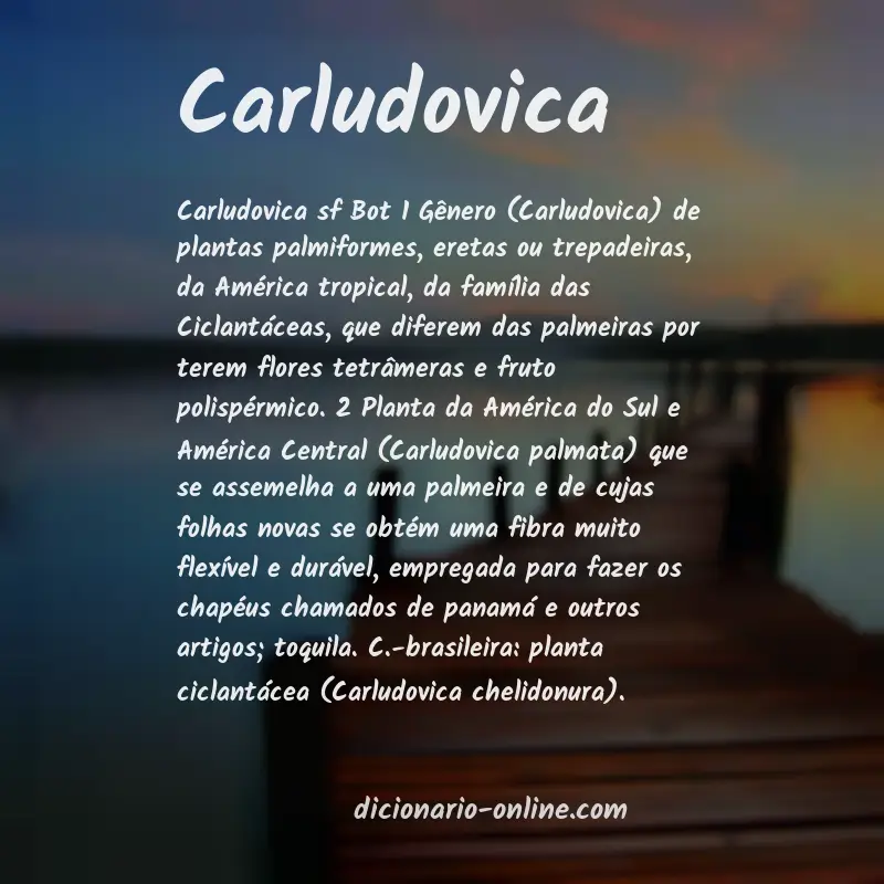 Significado de carludovica
