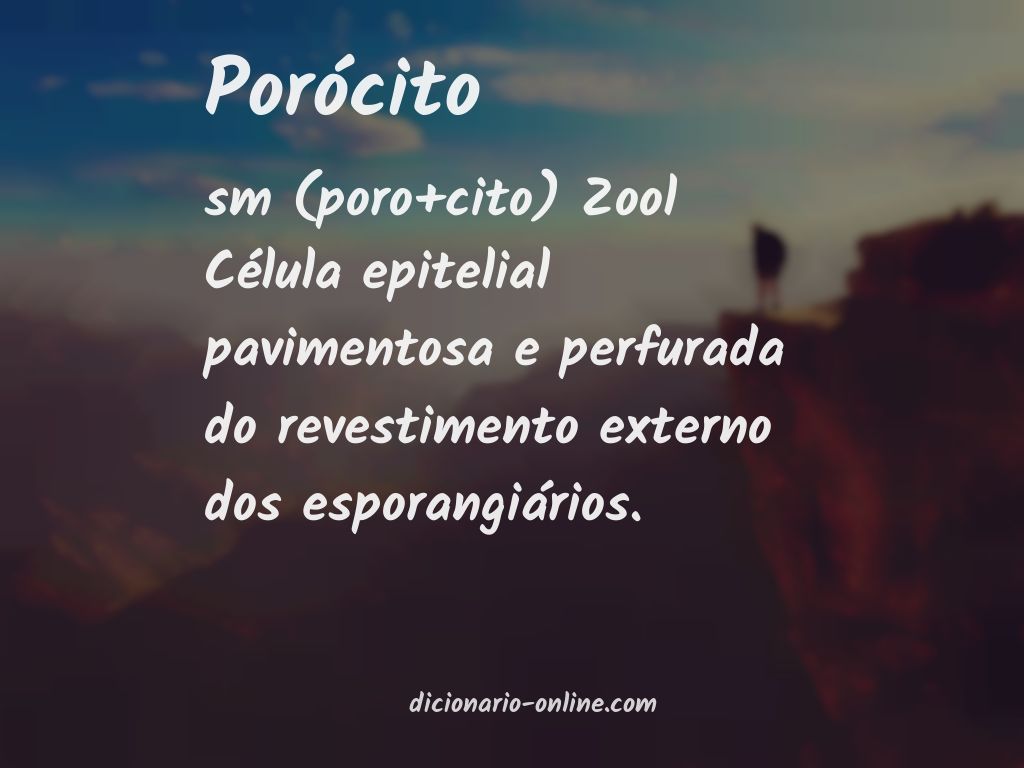 Significado de porócito