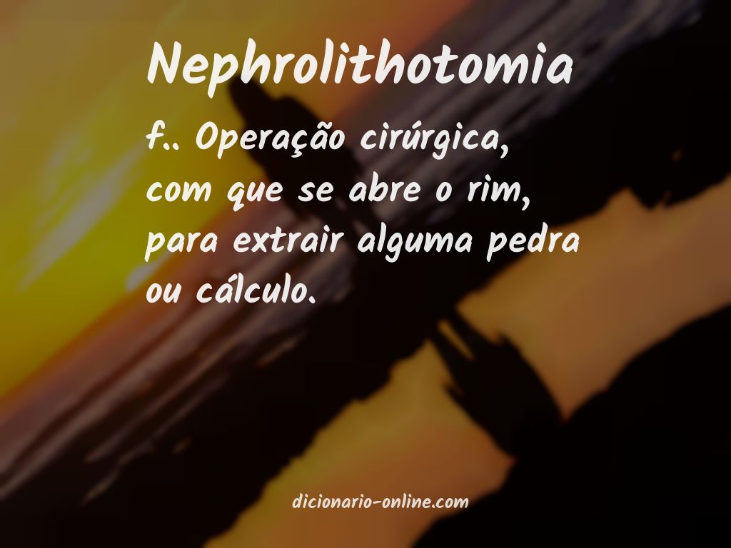 Significado de nephrolithotomia