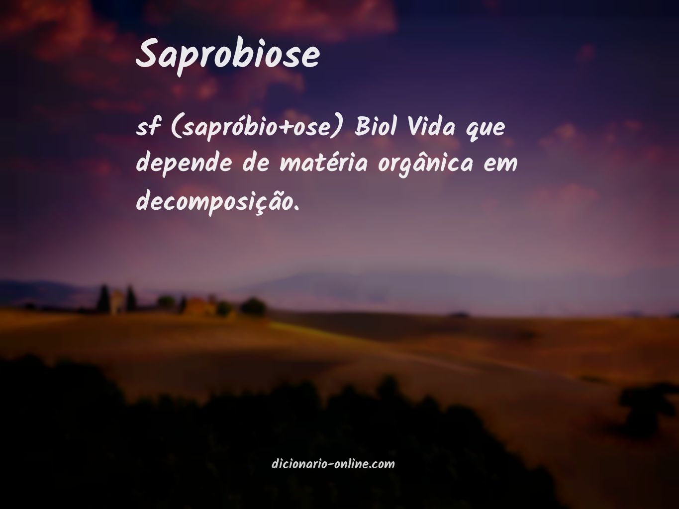 Significado de saprobiose