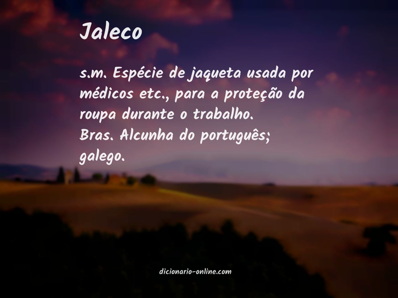 Significado de jaleco