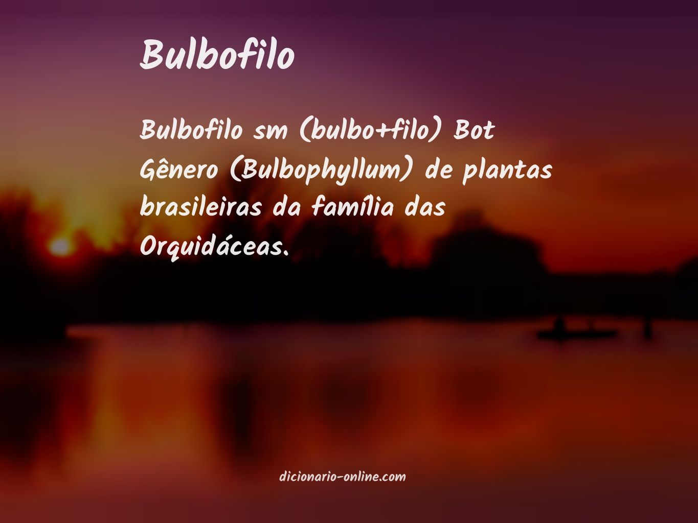 Significado de bulbofilo