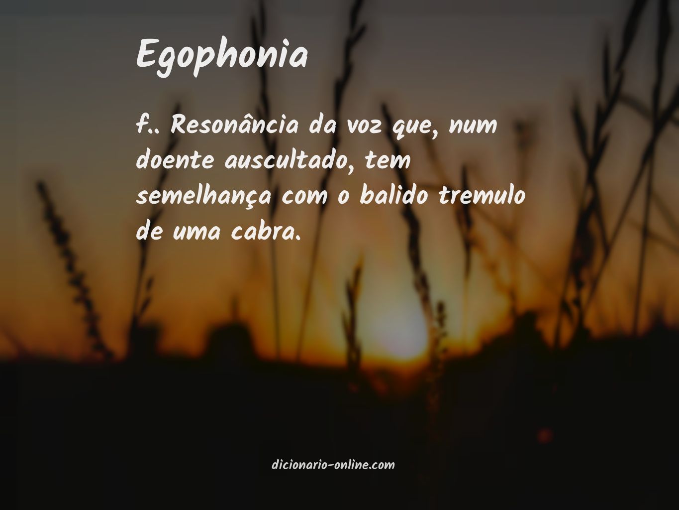 Significado de egophonia