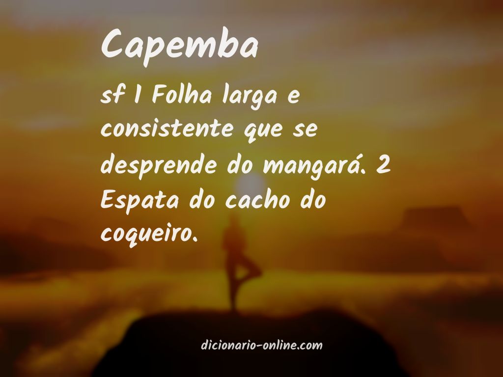 Significado de capemba