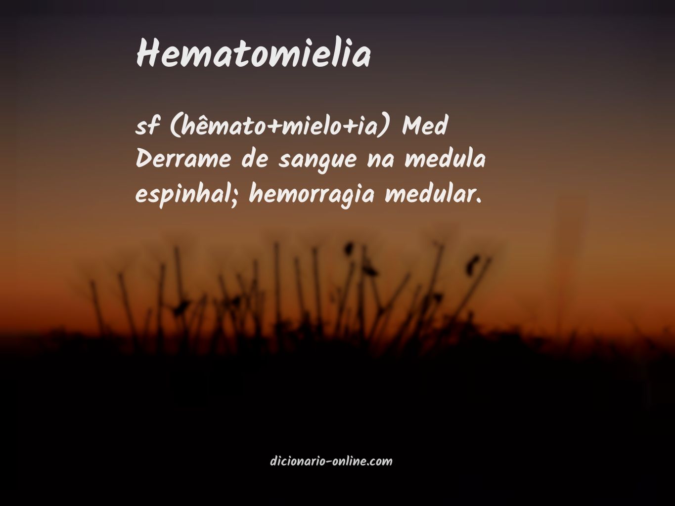 Significado de hematomielia