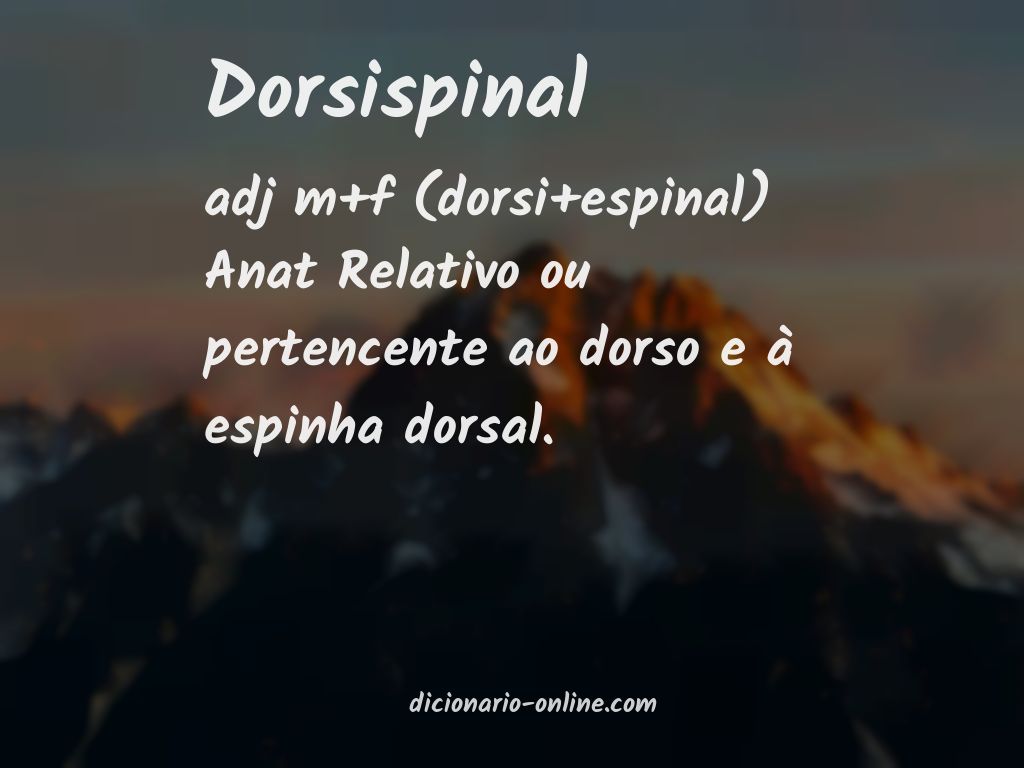 Significado de dorsispinal