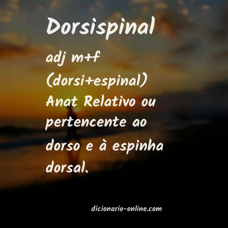 Significado de dorsispinal