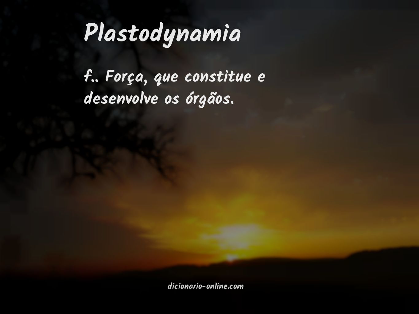Significado de plastodynamia