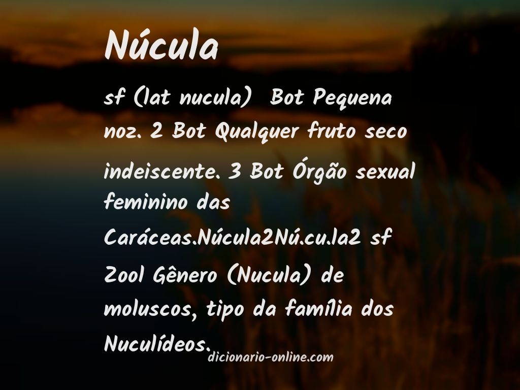 Significado de núcula