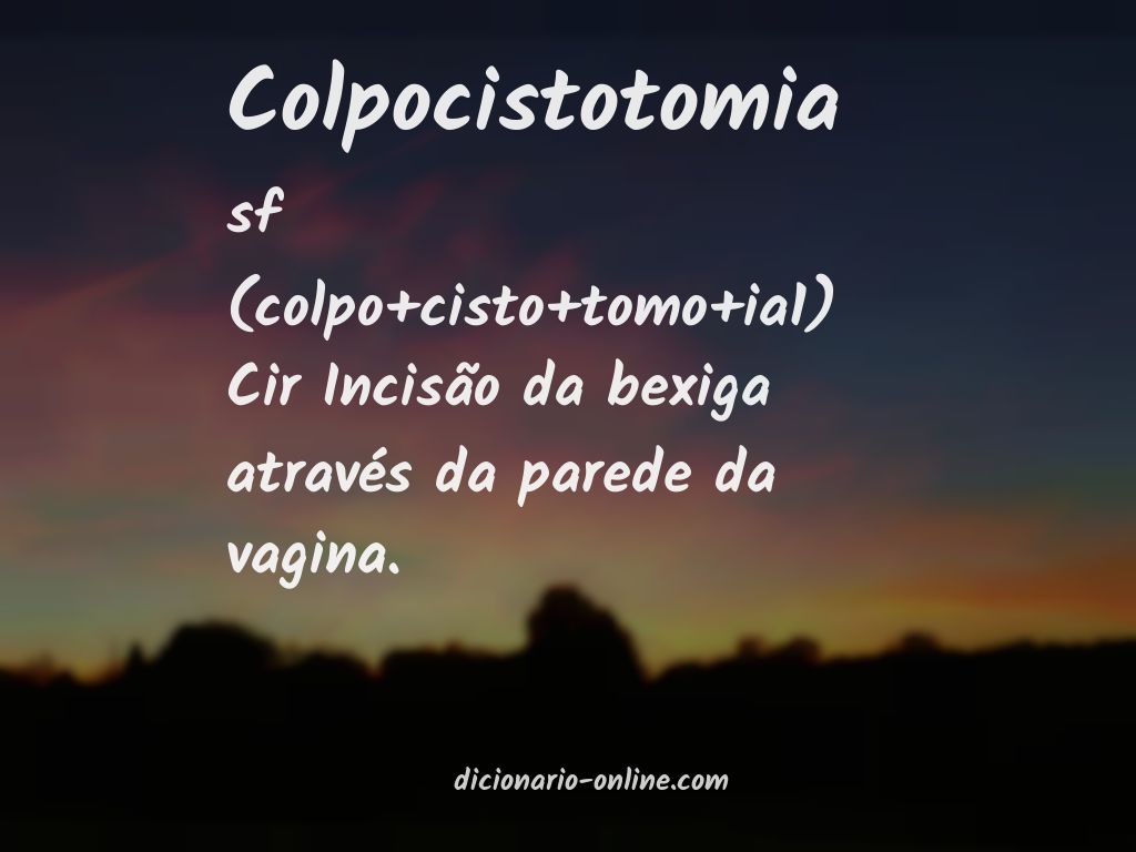 Significado de colpocistotomia