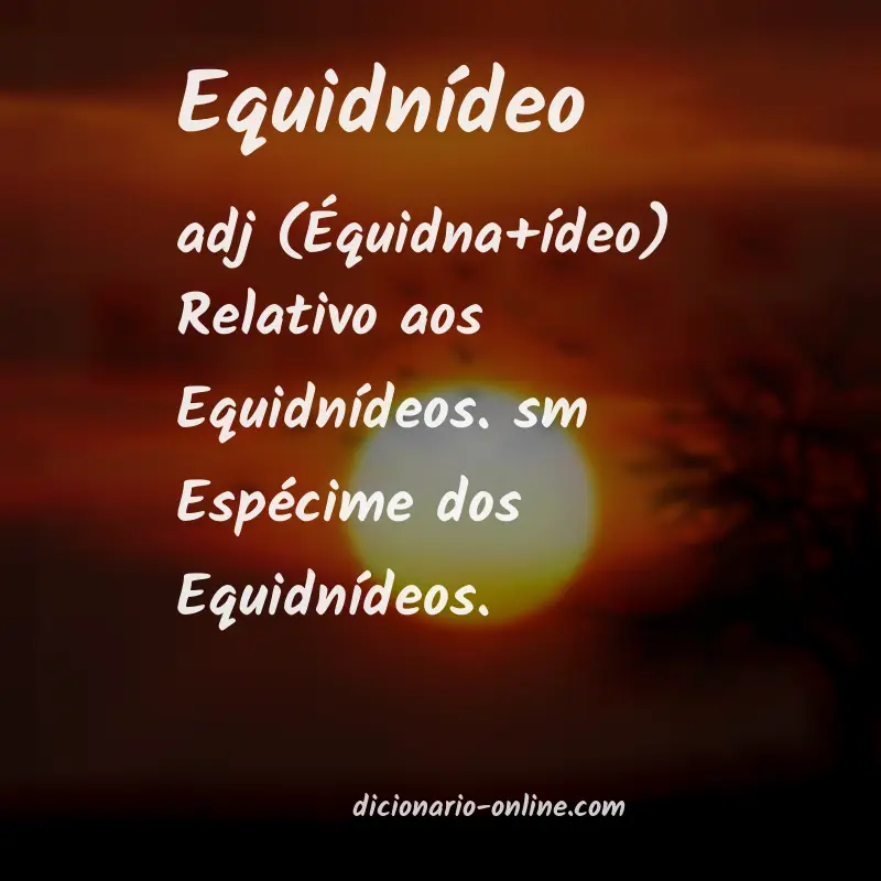 Significado de equidnídeo