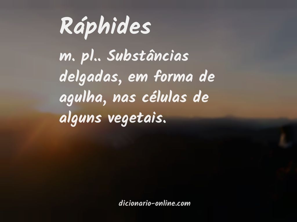 Significado de ráphides