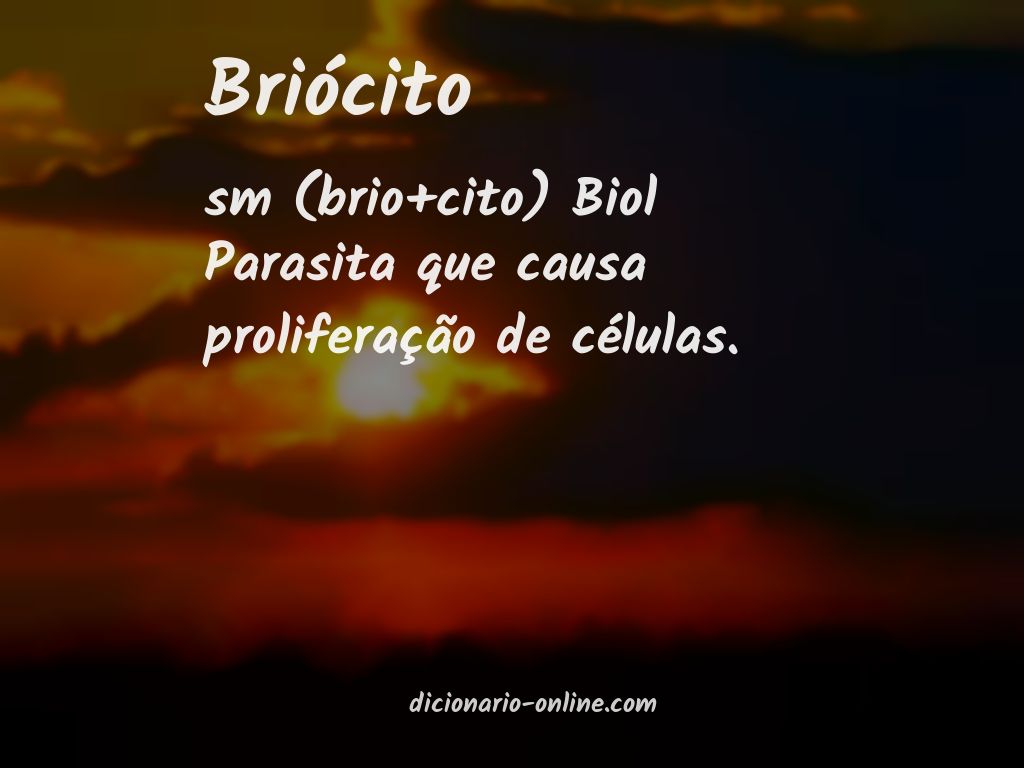 Significado de briócito