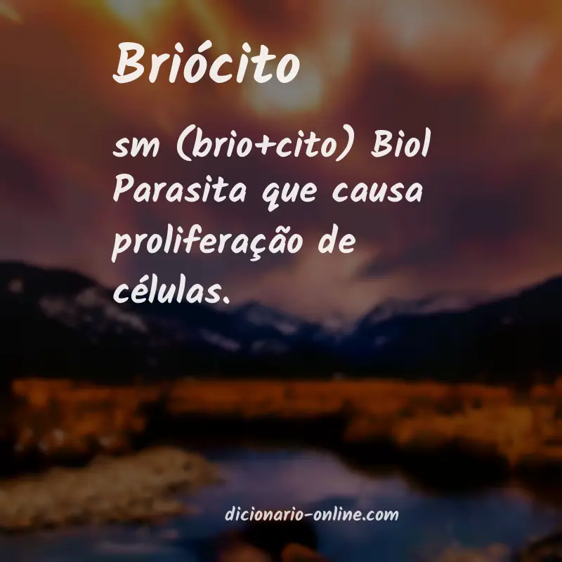 Significado de briócito
