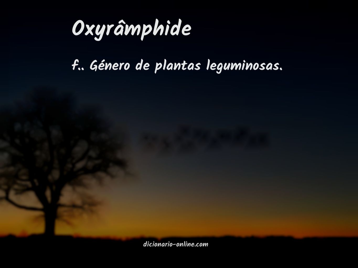 Significado de oxyrâmphide