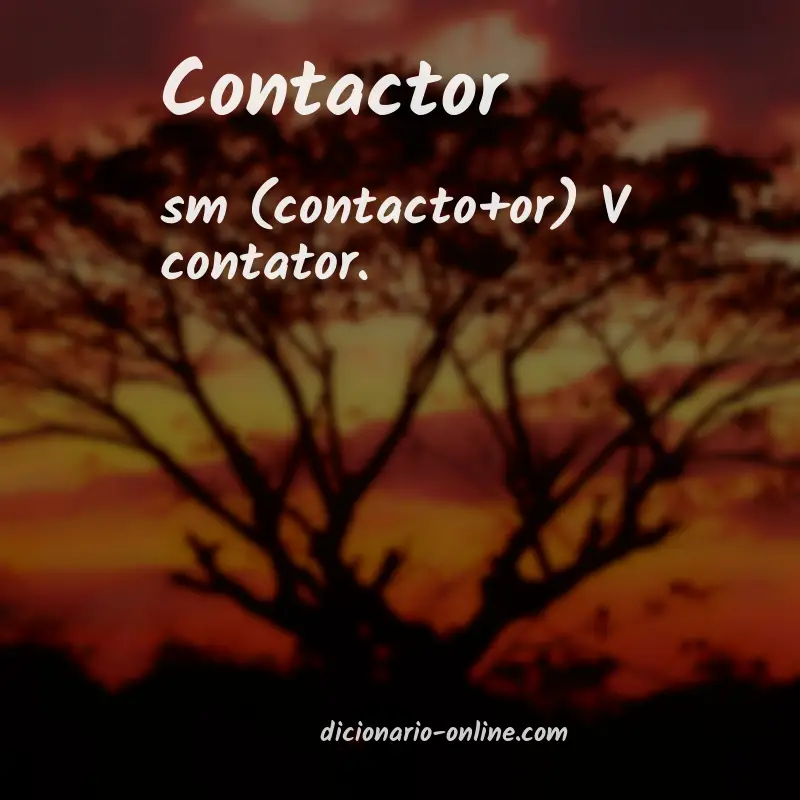 Significado de contactor