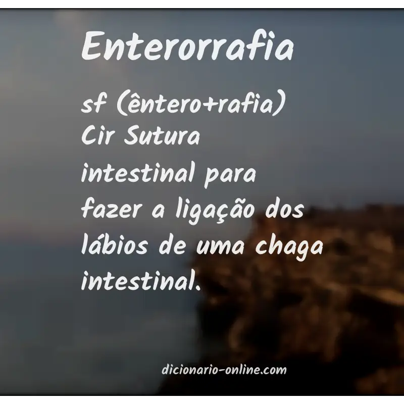 Significado de enterorrafia