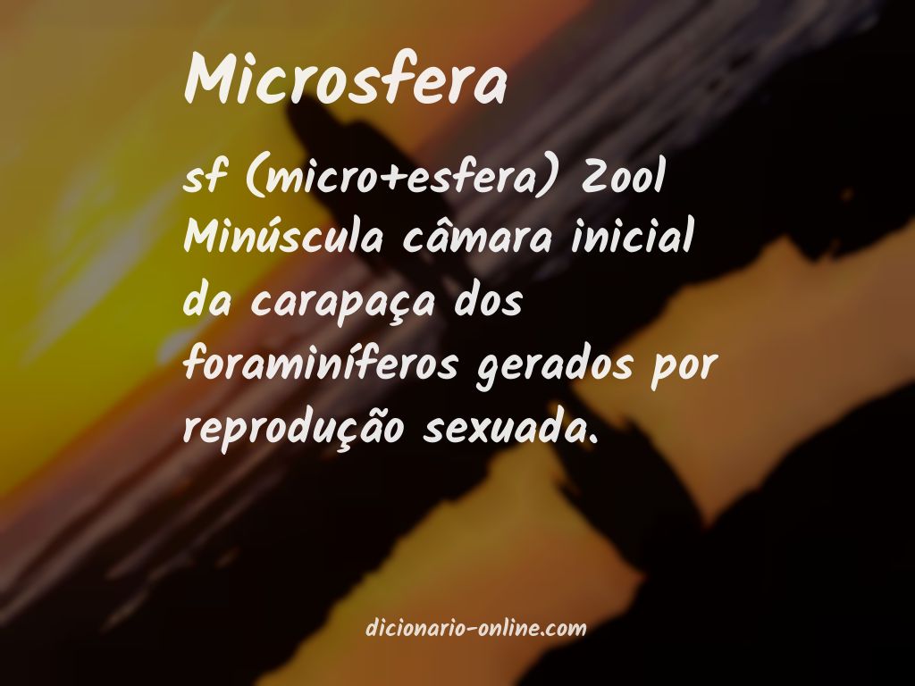 Significado de microsfera