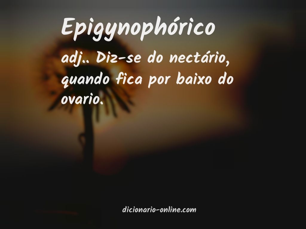 Significado de epigynophórico