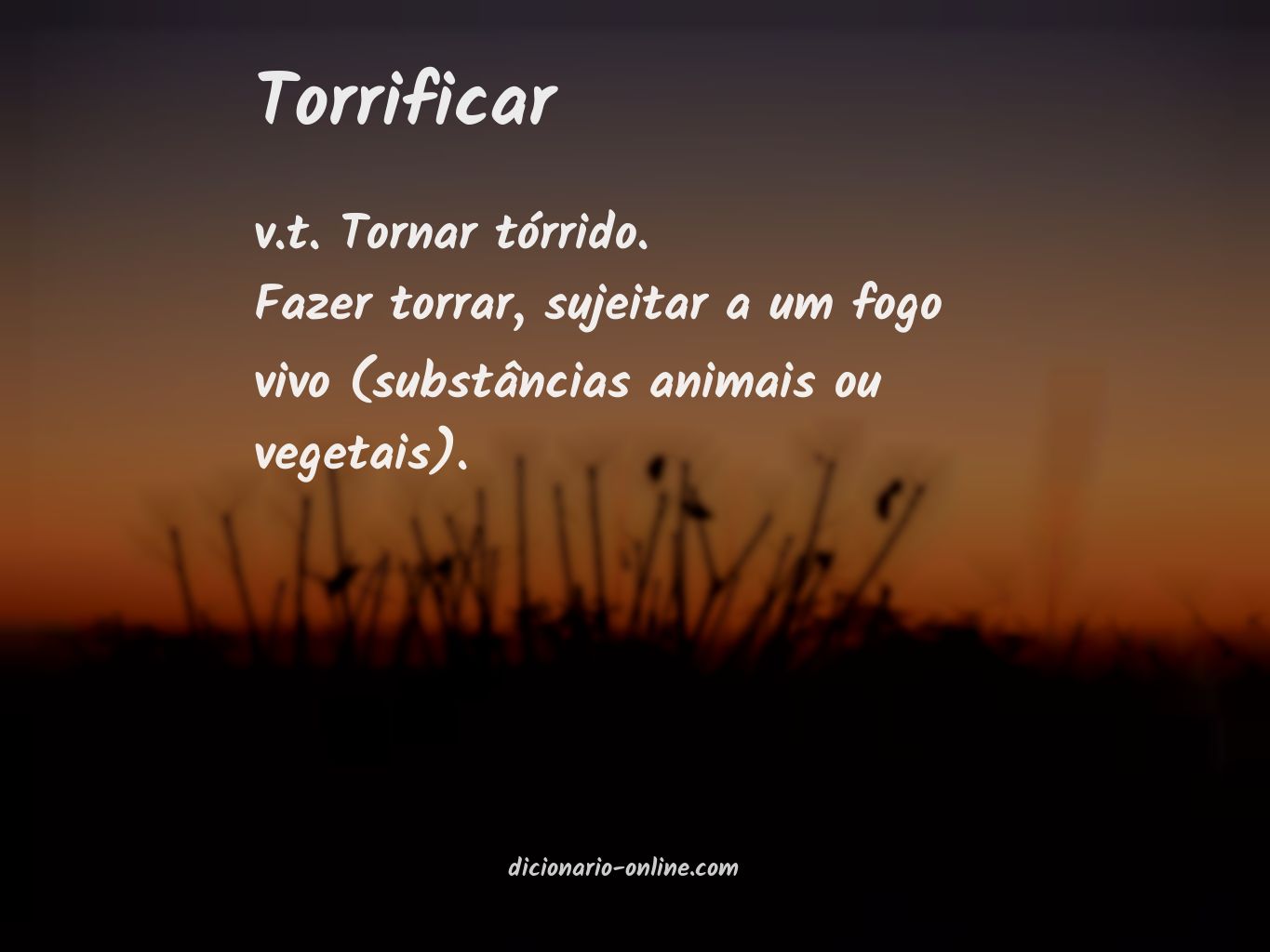 Significado de torrificar