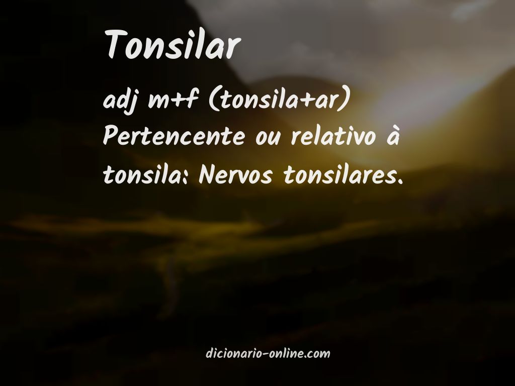 Significado de tonsilar