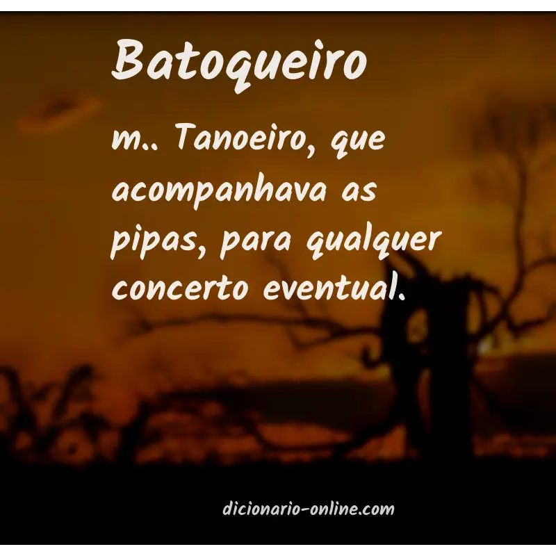 Significado de batoqueiro