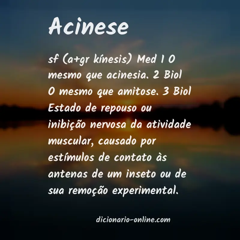 Significado de acinese