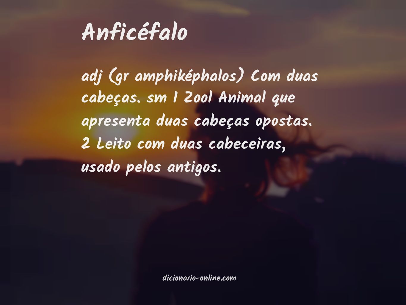 Significado de anficéfalo