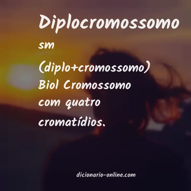 Significado de diplocromossomo