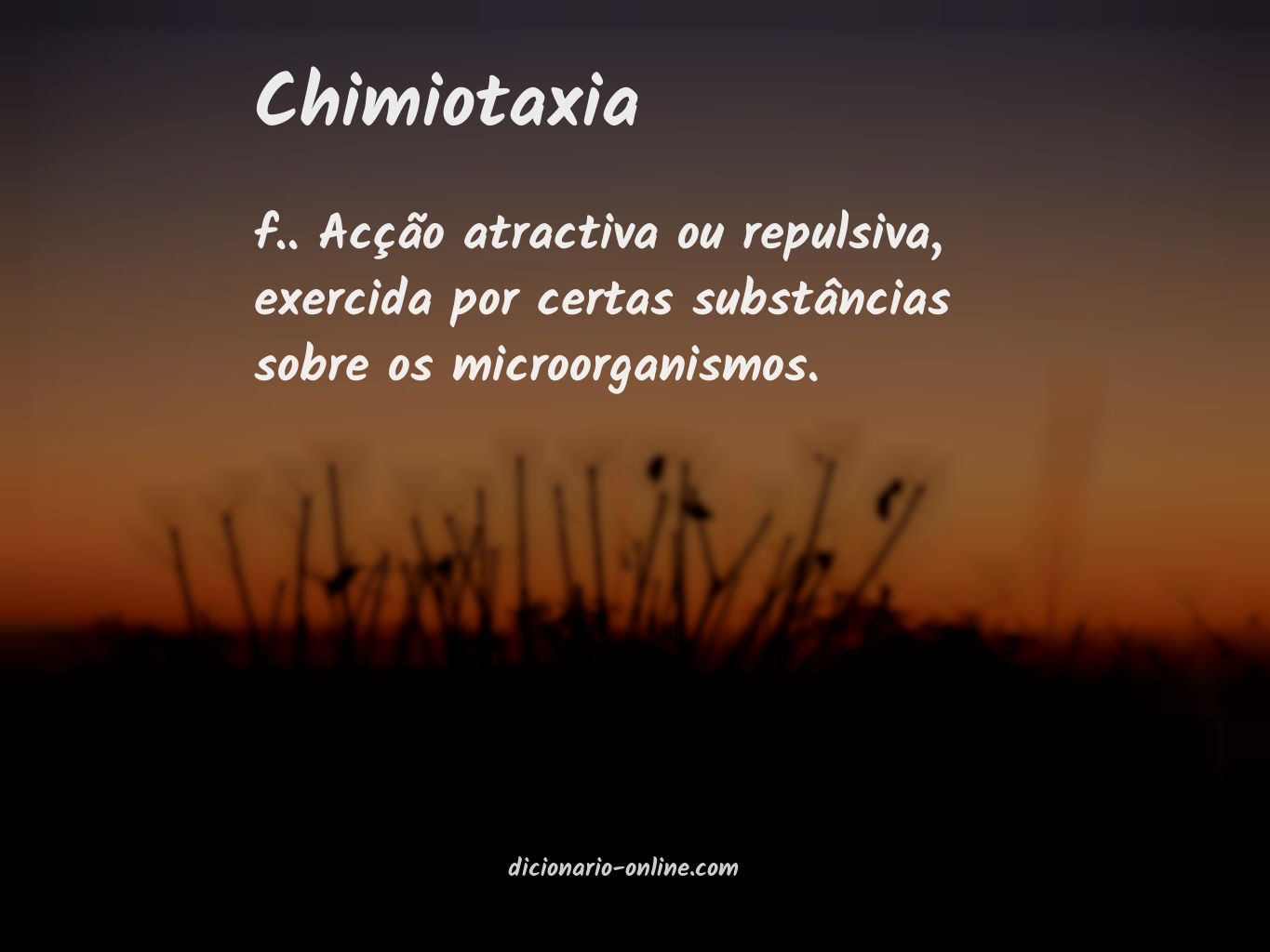 Significado de chimiotaxia