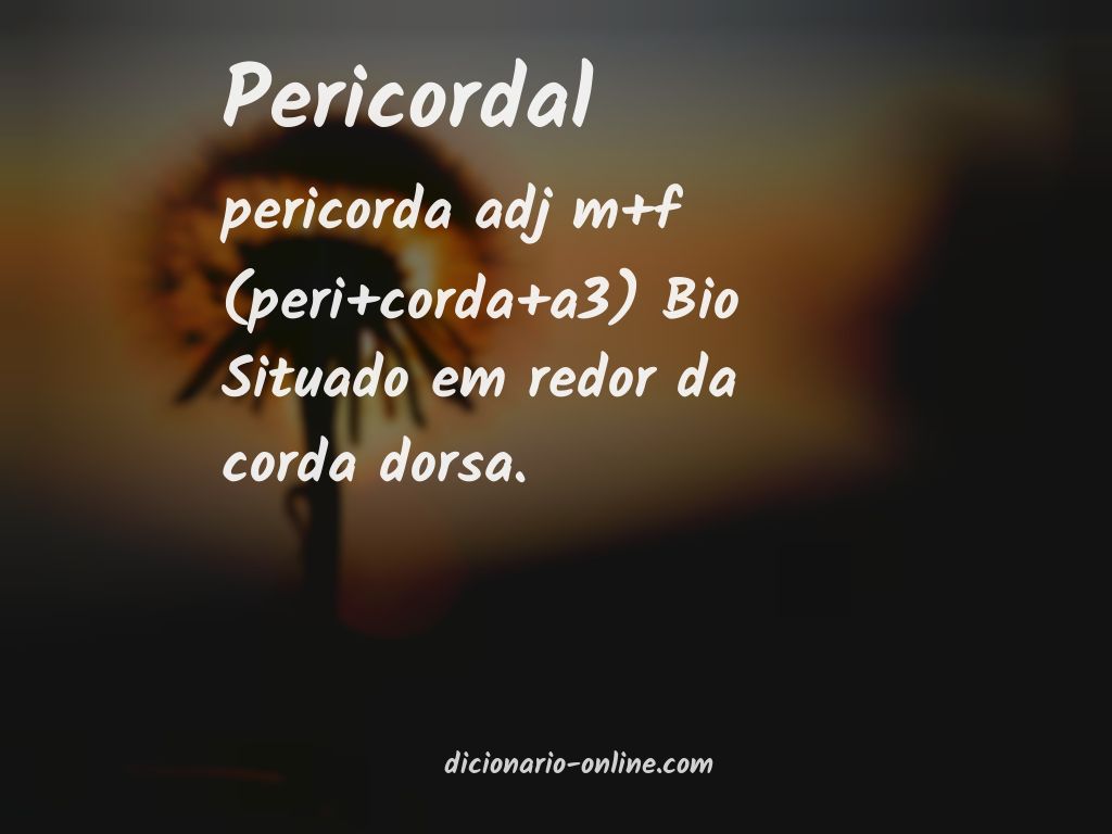 Significado de pericordal