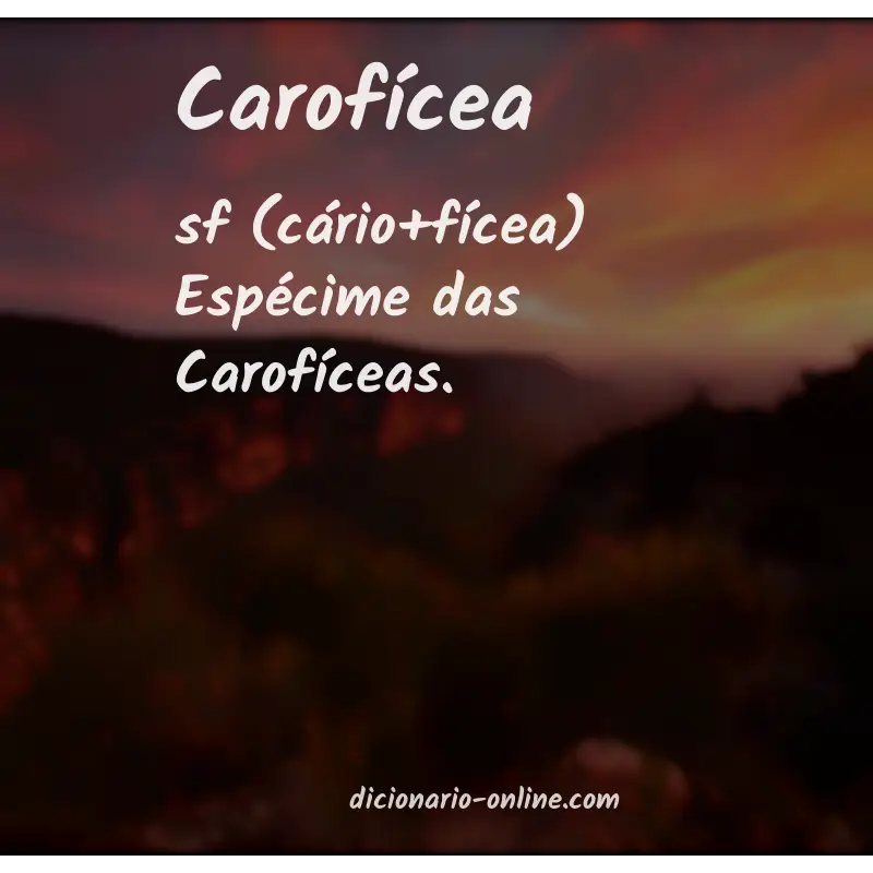 Significado de carofícea