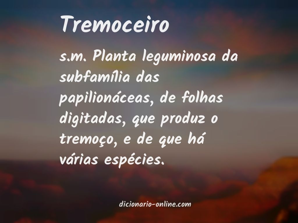 Significado de tremoceiro