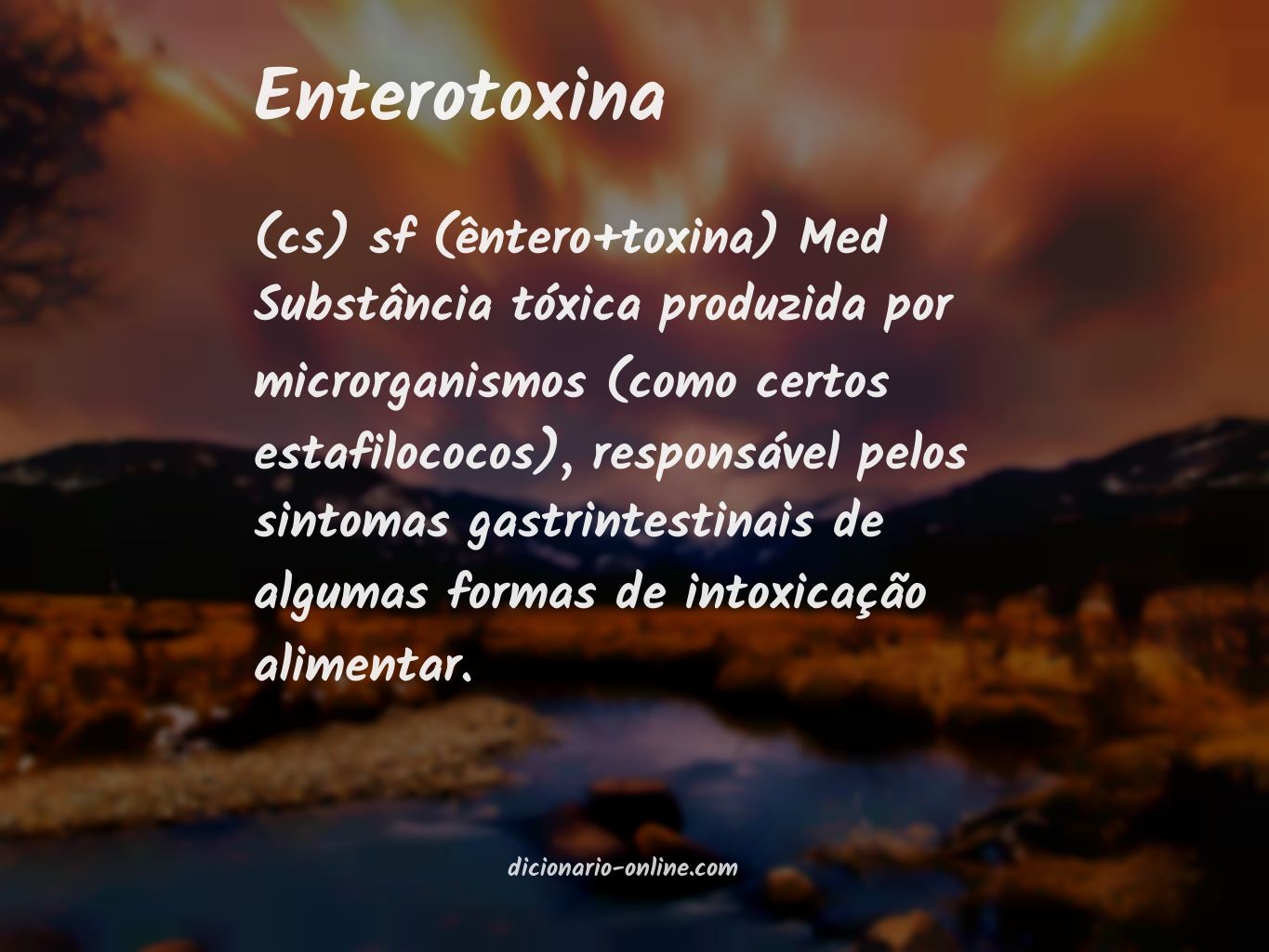 Significado de enterotoxina