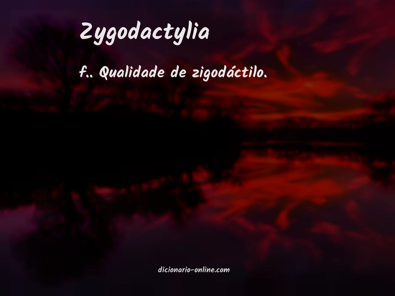 Significado de zygodactylia
