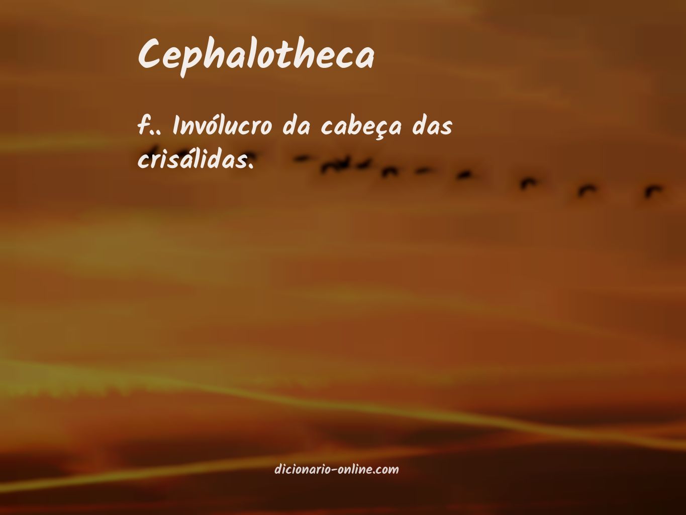 Significado de cephalotheca