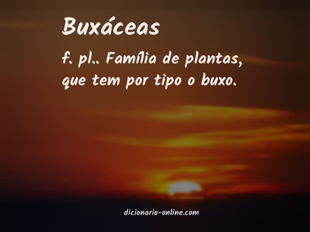 Significado de buxáceas