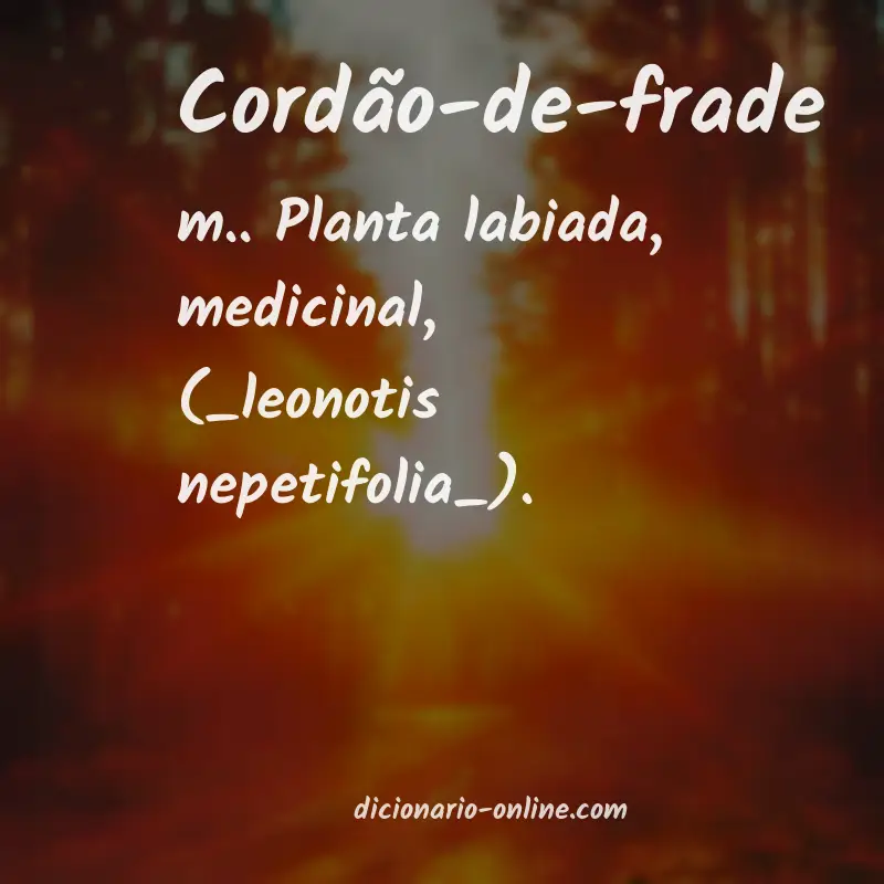 Significado de cordão-de-frade